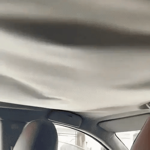 Set nituri pentru plafon auto- cleme de fixare tapițǎrie